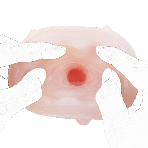  - Image 4